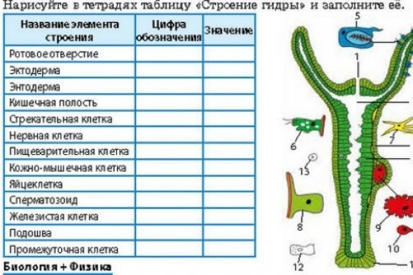 Кракен маркет плей