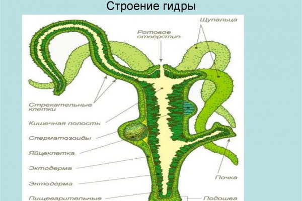 Кракен клир ссылка