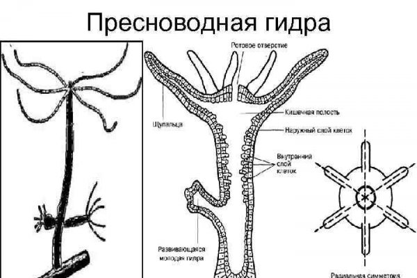 Кракен купить порошок