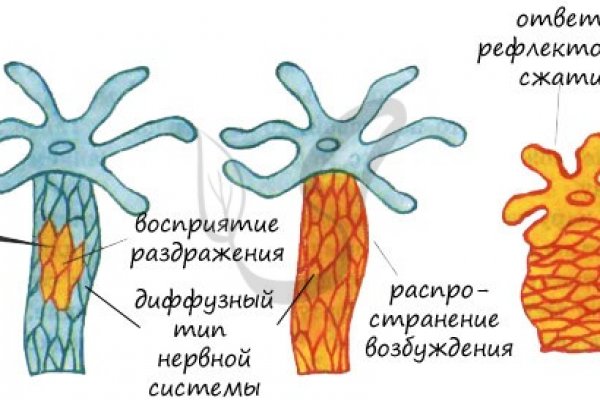 Кракен мп